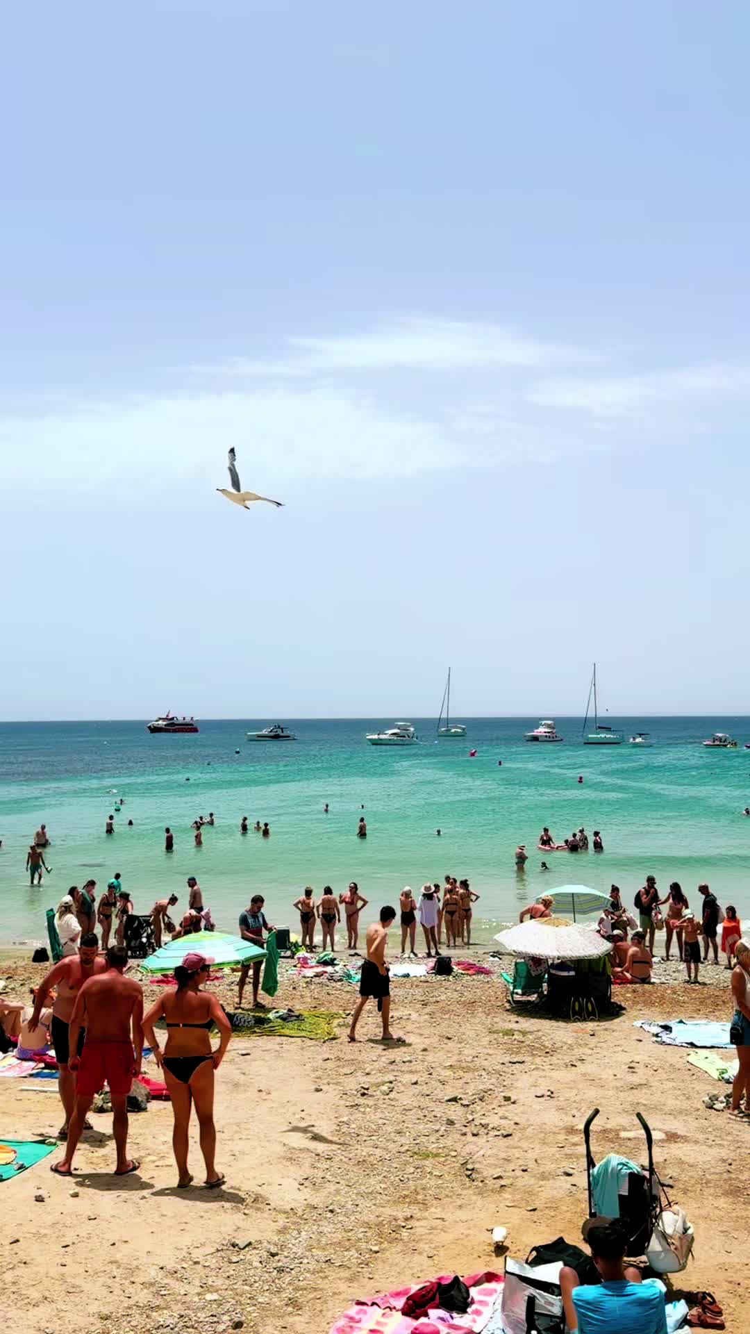 @🚗 Rent a Car | ✈️ Travel🇪🇸