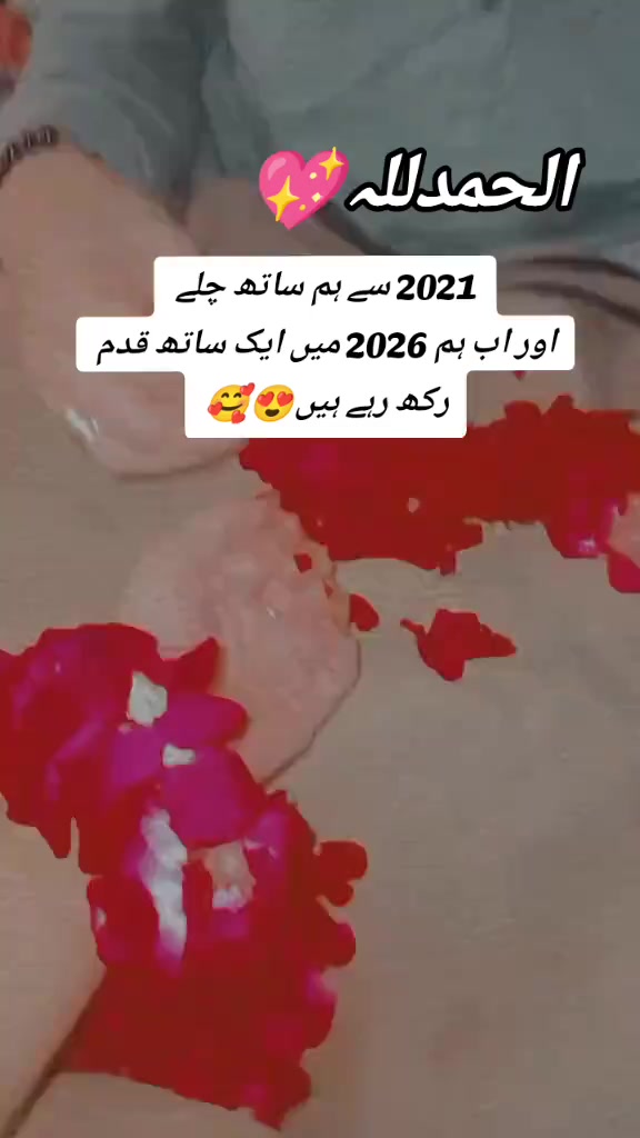 @Musa Ali8545