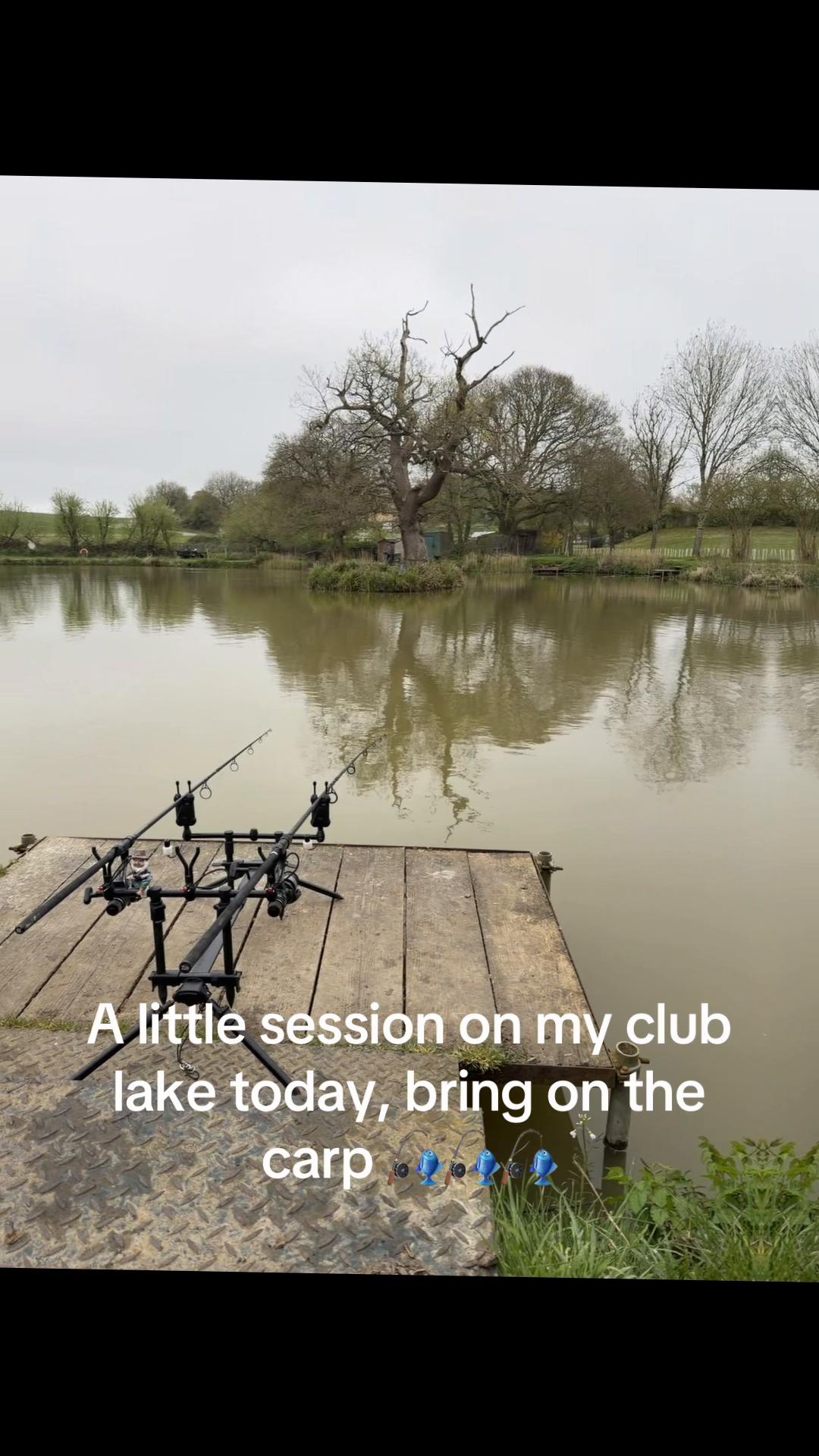 @janner_carper