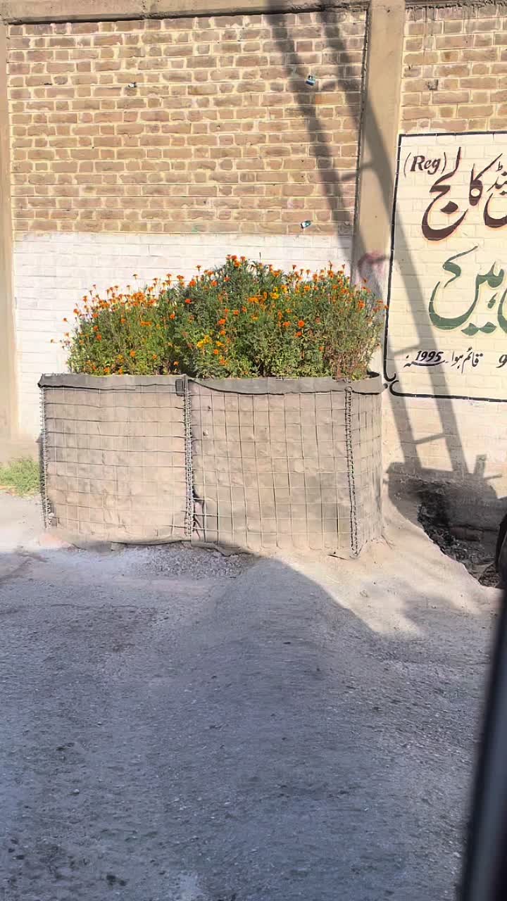 @Abiha Sultani