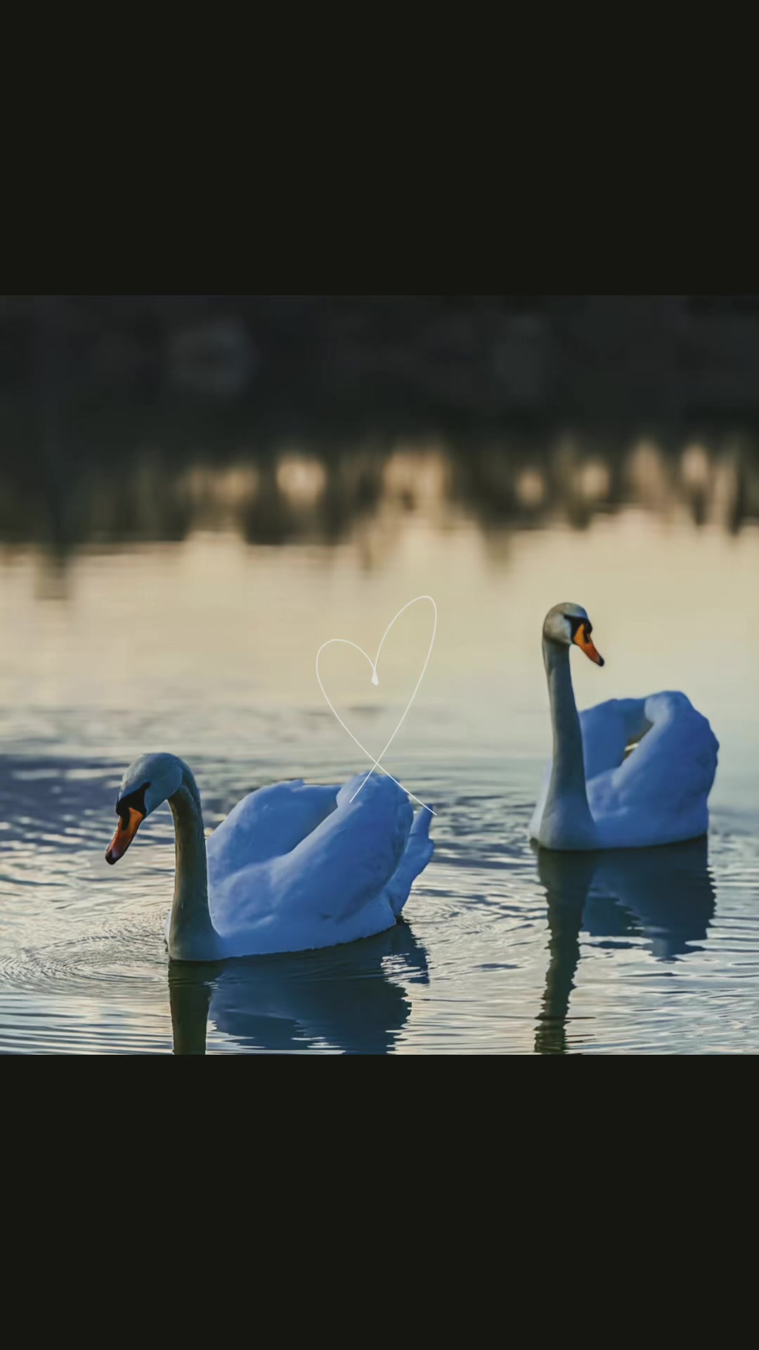 @𝓜𝓲𝓽𝓻𝓸