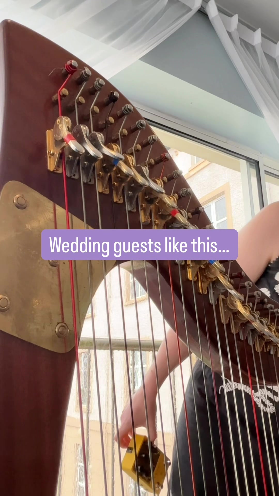 @Harpist-Maria Boyle