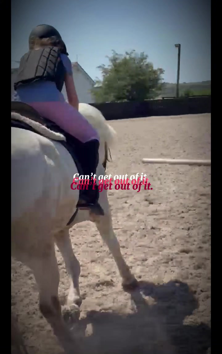@LottiesHorseAdventures🦄🐴