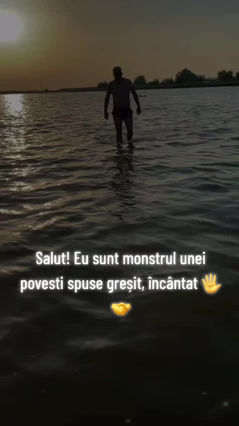@Denis Gradinaru