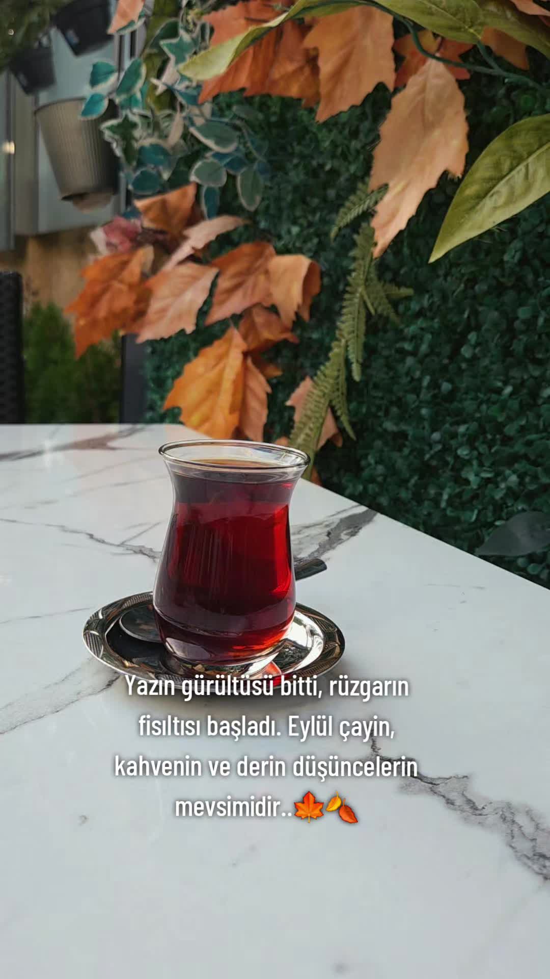 @🇹🇷͜͜͡͡✯𝘼𝙡𝙞 4️⃣6️⃣