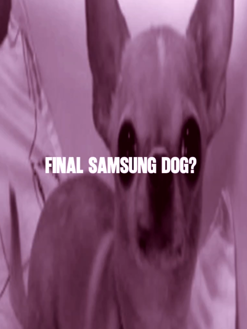 @๐ท๐ด