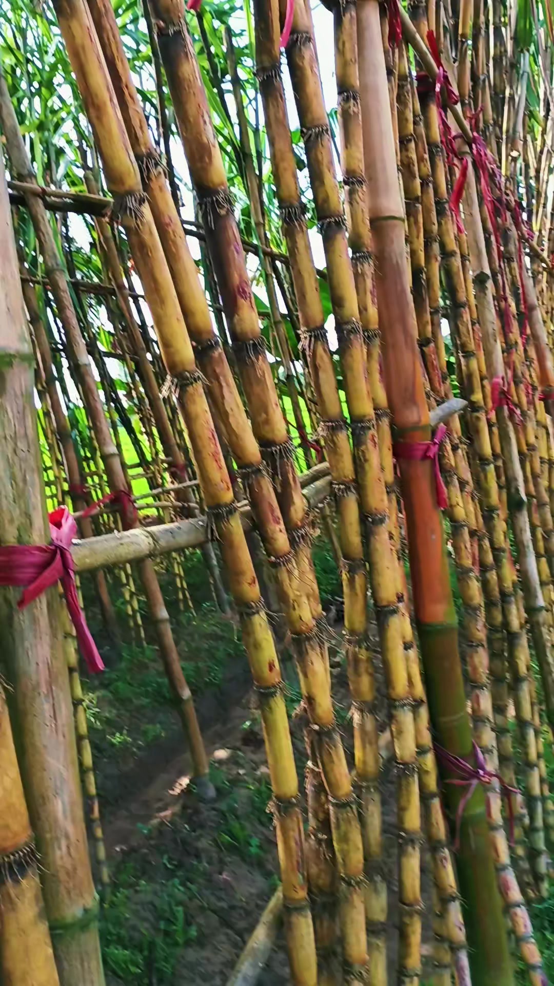 @🥰 মা-বাবার রাজকন্যা 🥰