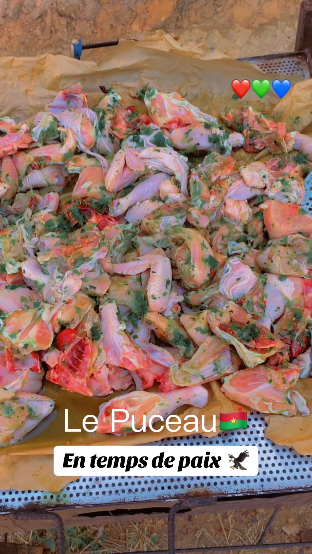 @Le Puceau🇧🇫