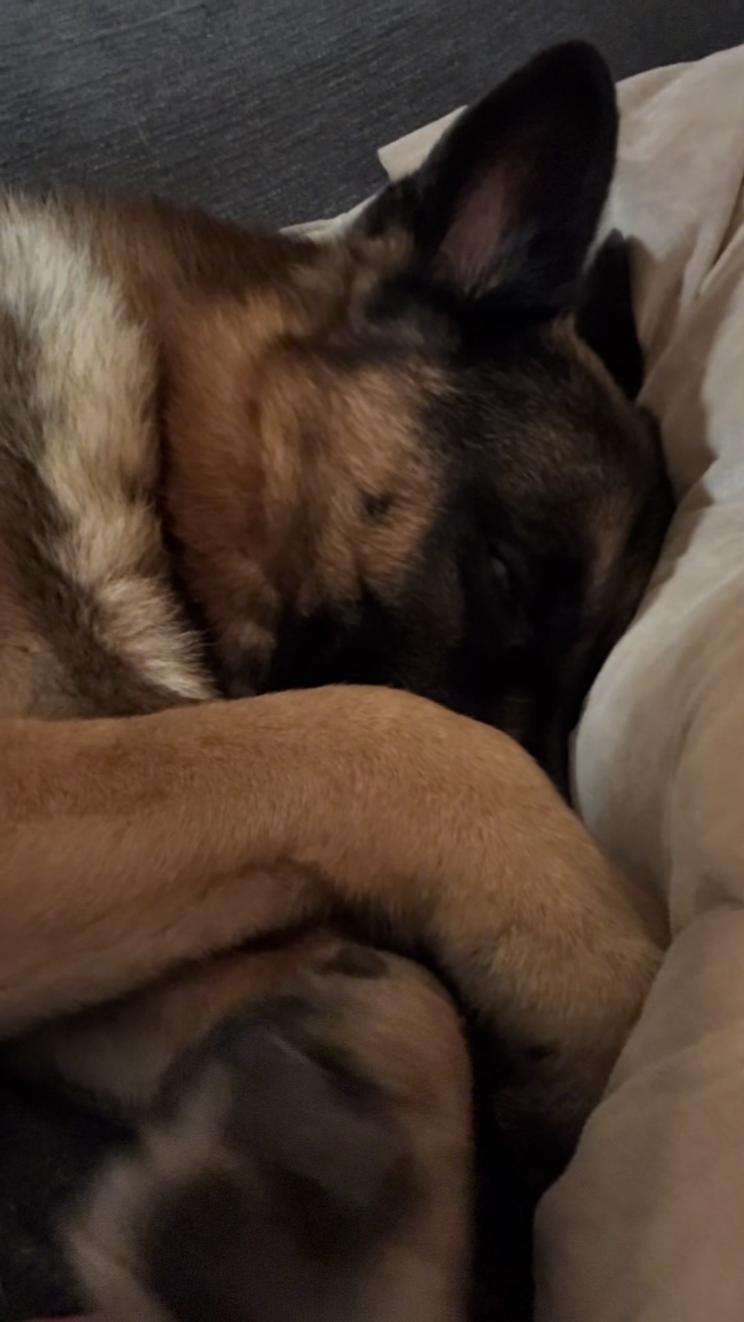 @Martygsd