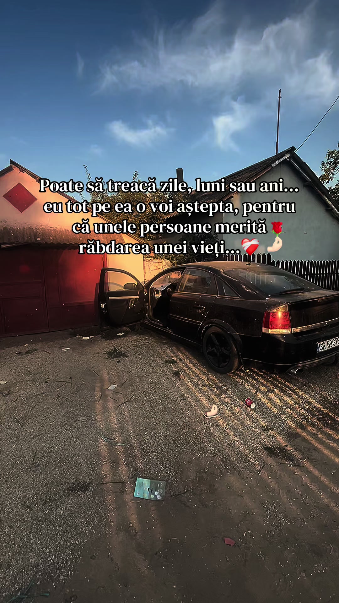 @renaldo