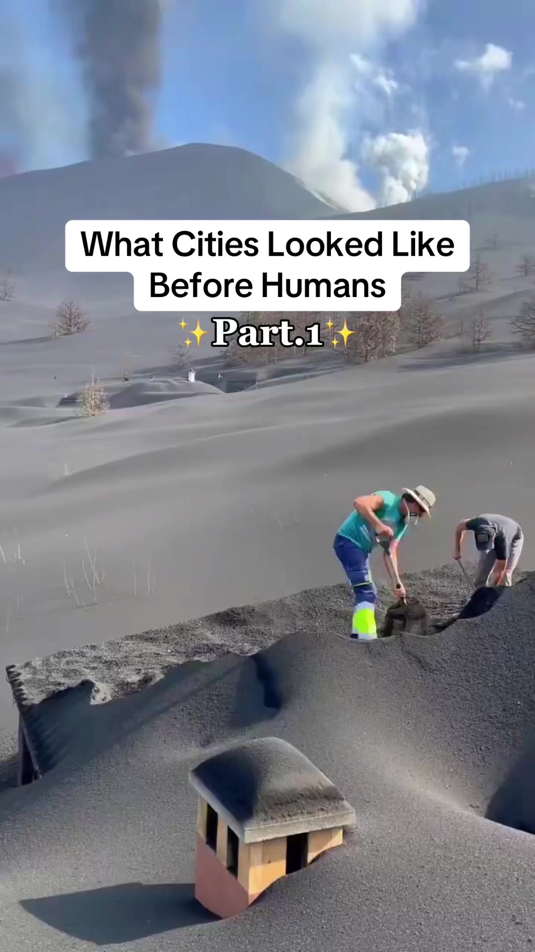 @Our Planet