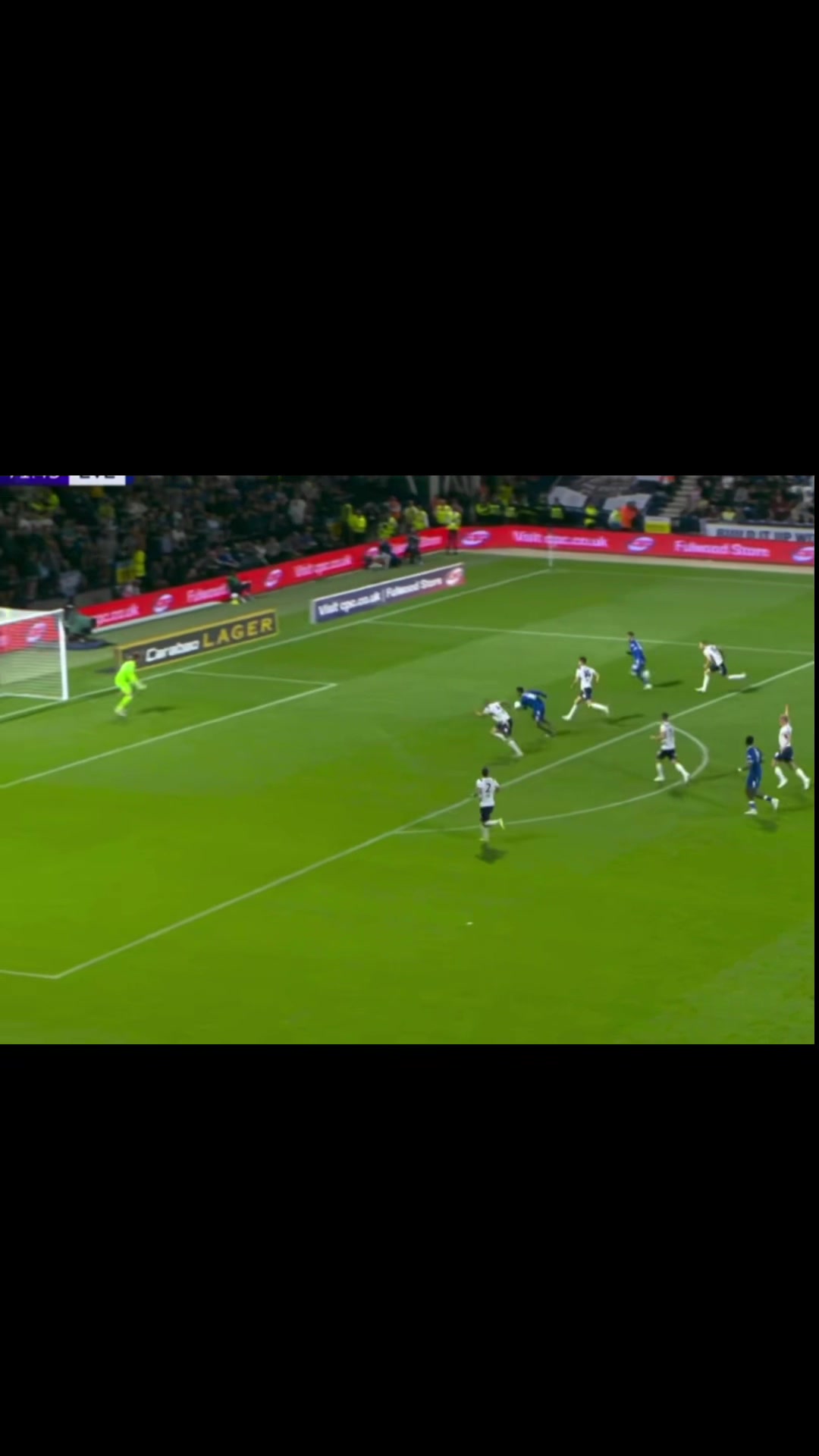 @thfc.teddy