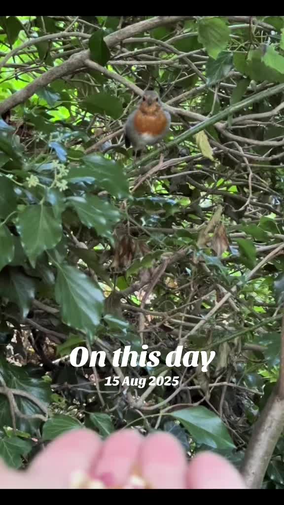@flora_fauna_fur_feathers