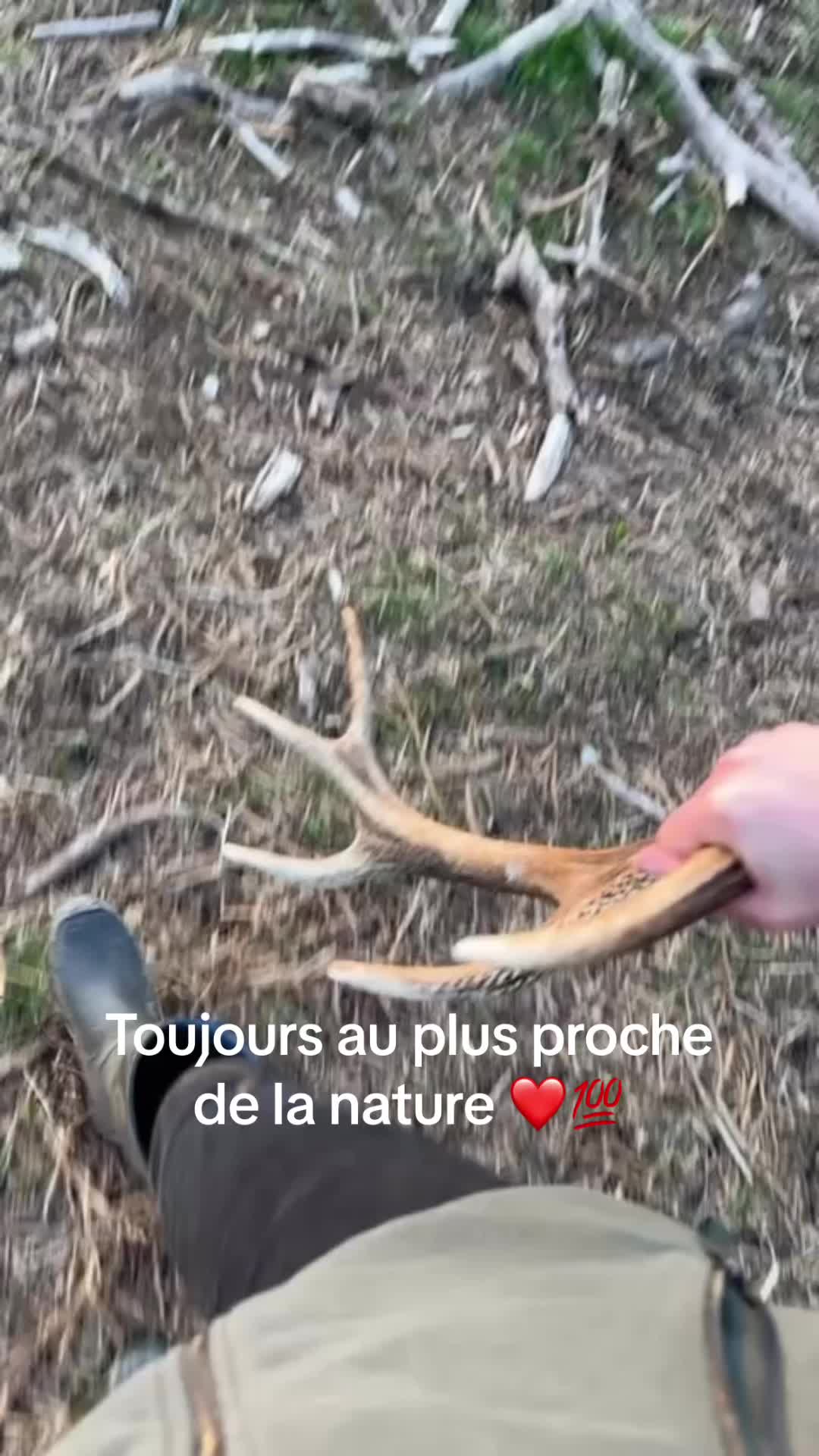 @tony.m74