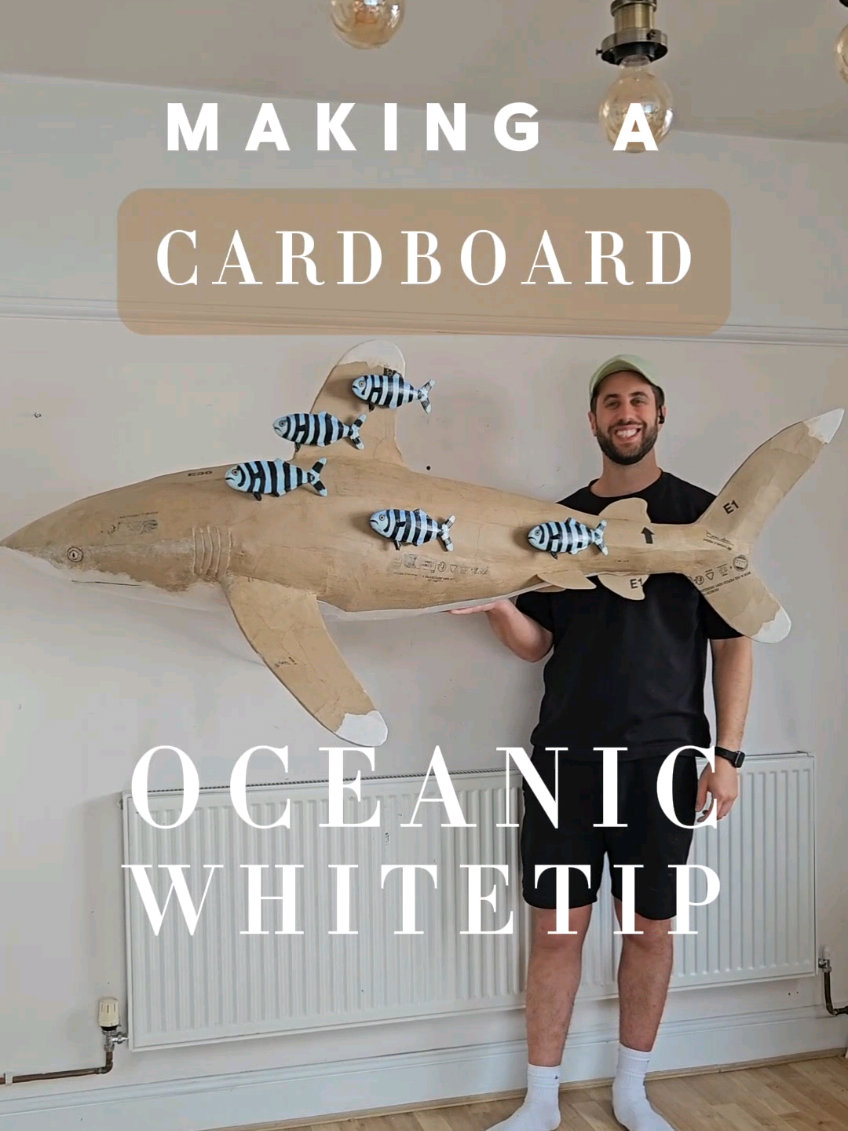 @Josh Gluckstein- Cardboard Art
