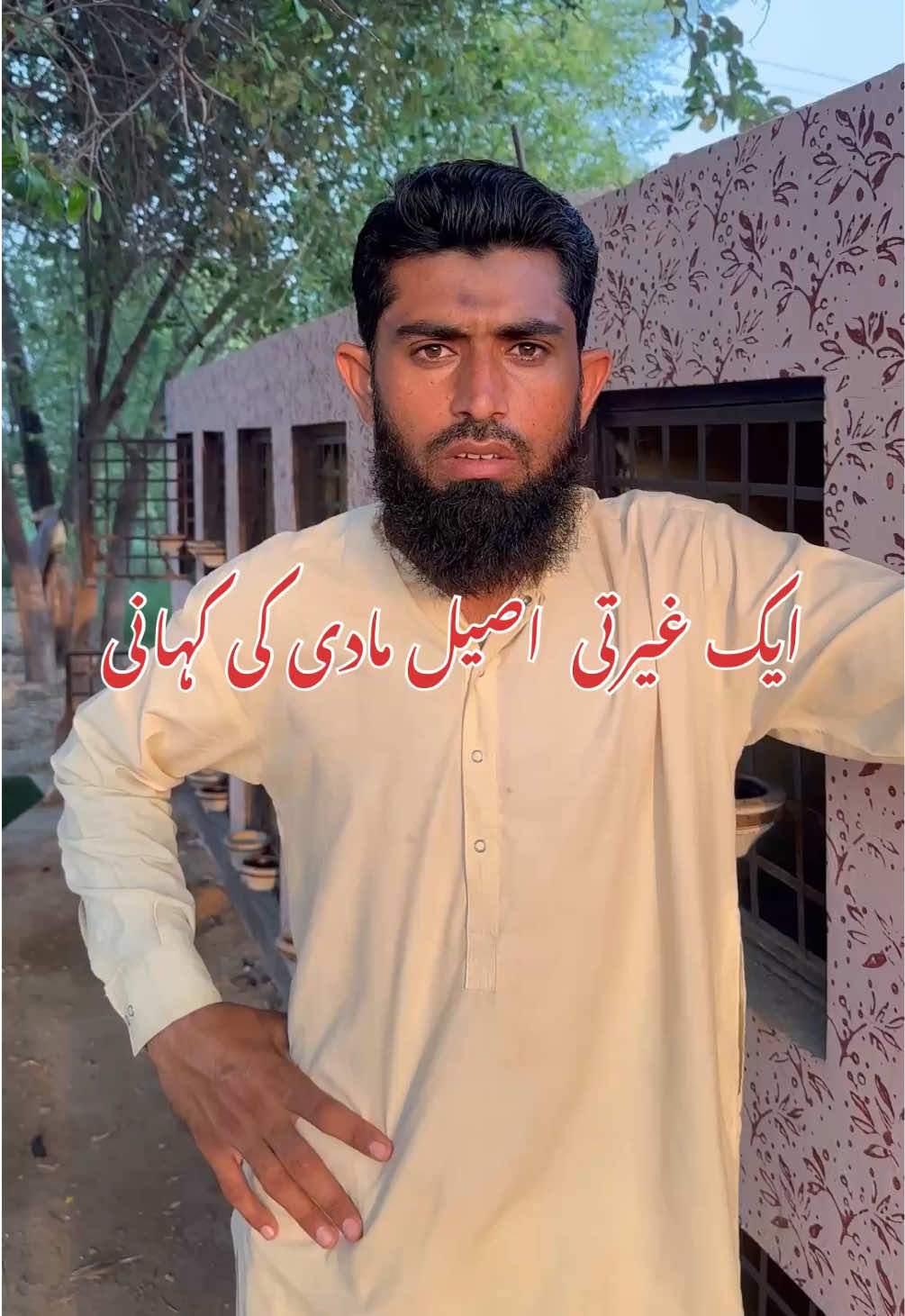 @Poultry Markaz