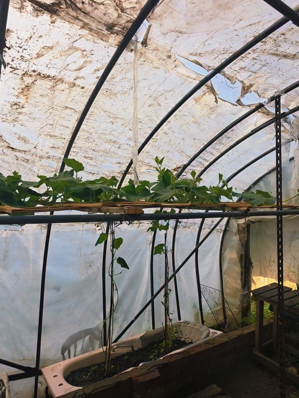 @MD SHOFIQUL ISLAM KHAN