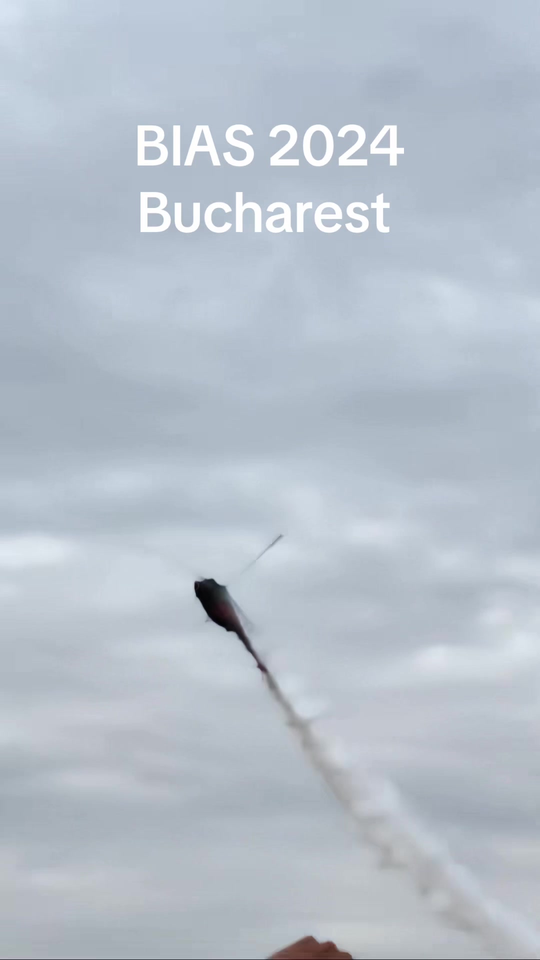 @Ştiri Cu Surse