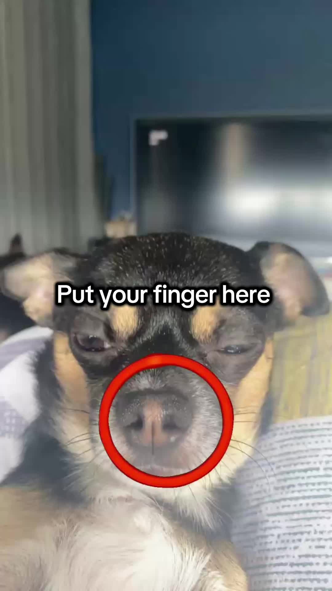 @CL4PCHEEKS