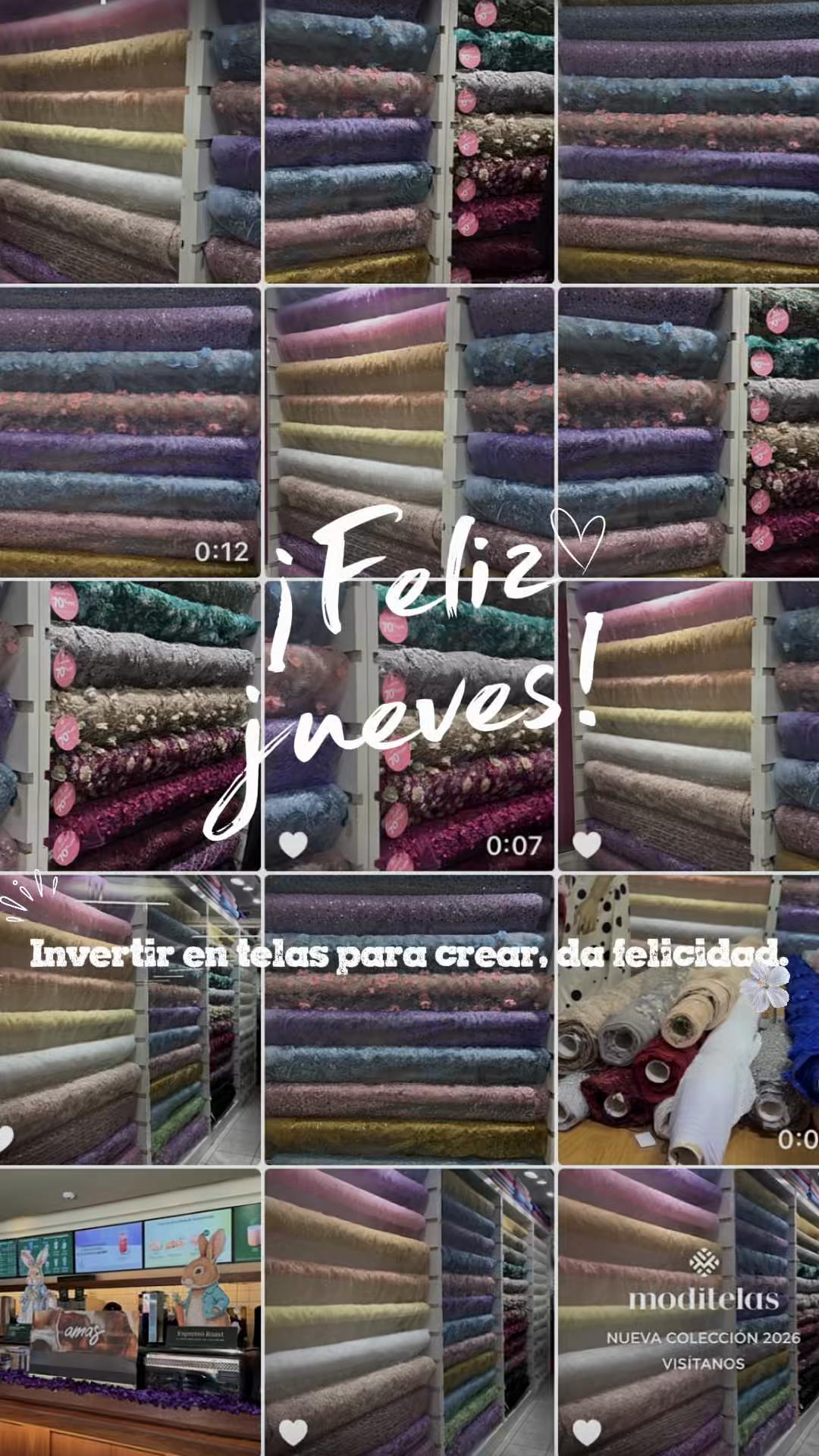 @TalyRochaG🌸