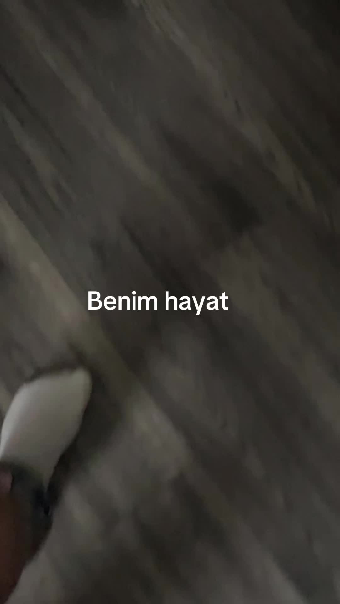 @melis672