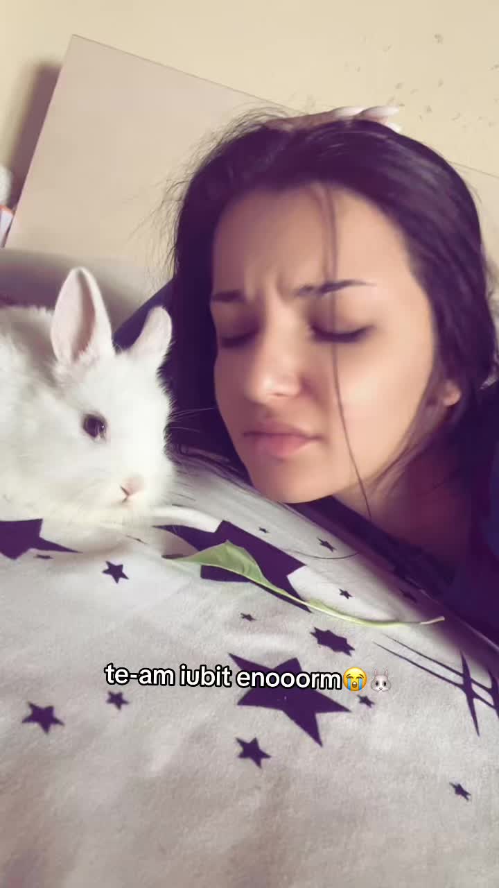 @ștefăneluuu