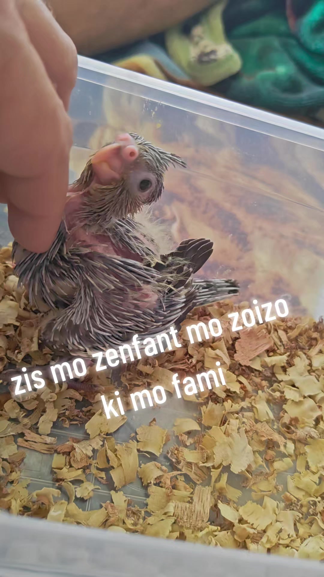 @B&Euml;LL&Acirc; 🫣🥰