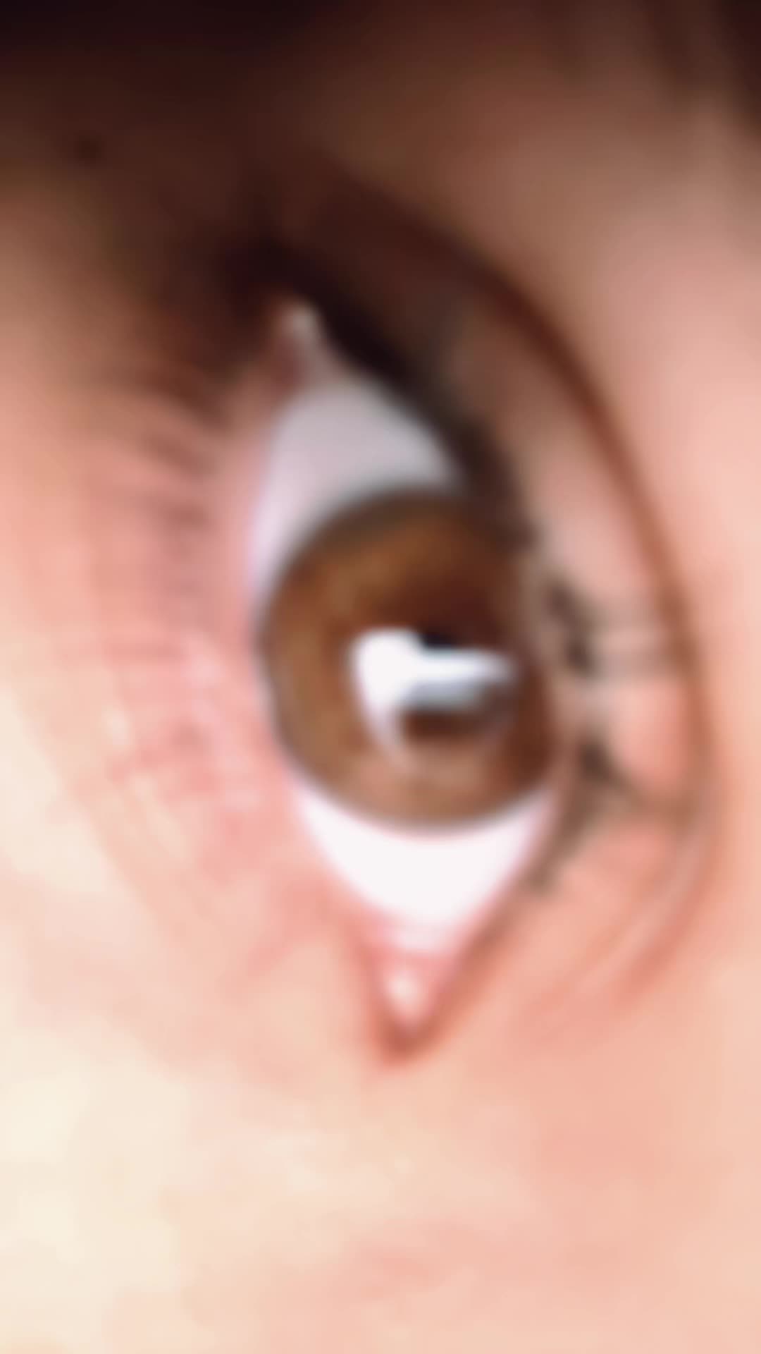 @Šest_kokotu