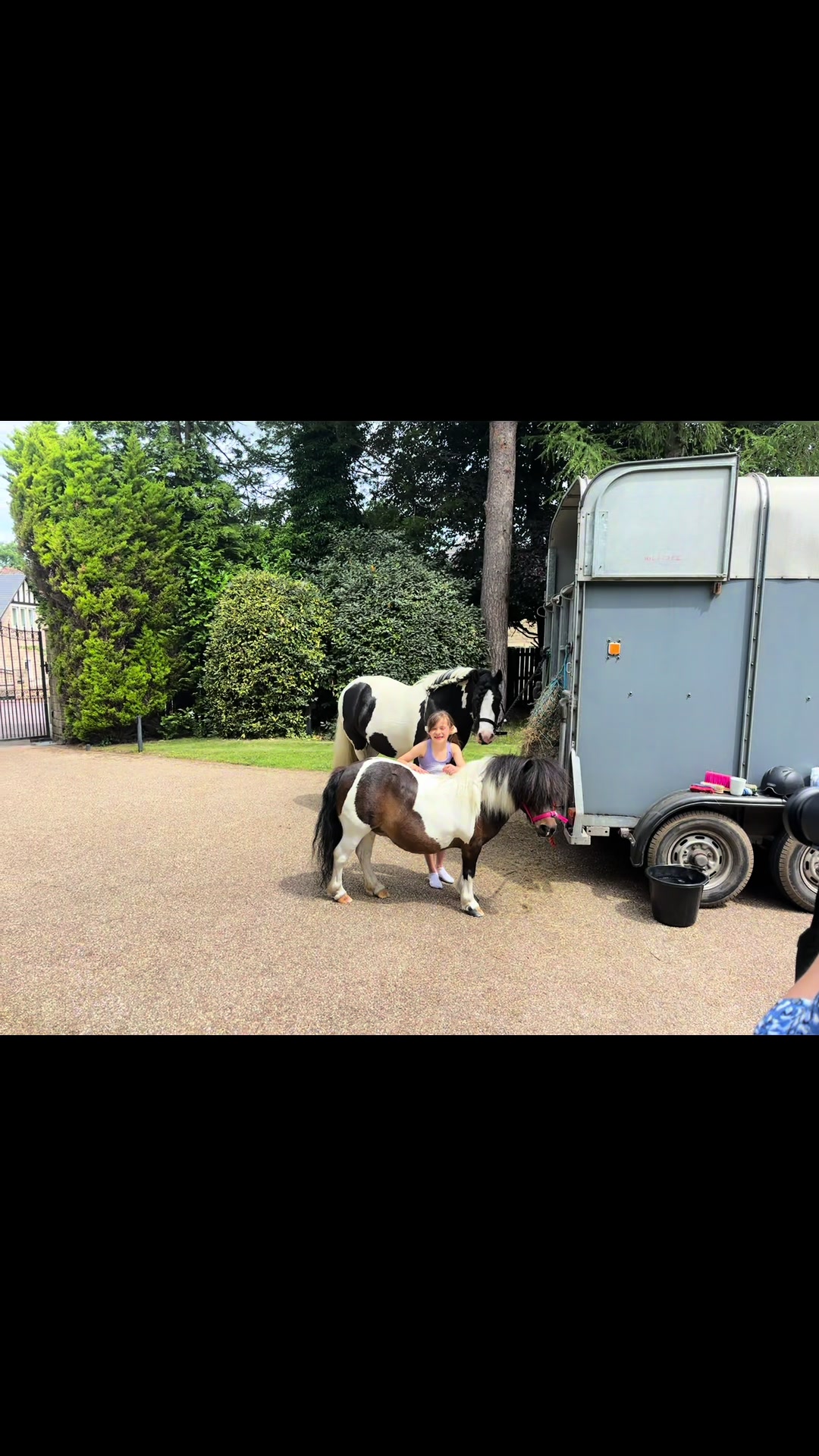 @diamondponyparties