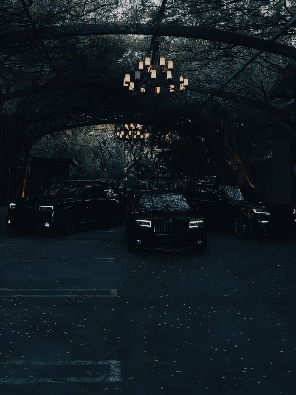 @7limitless
