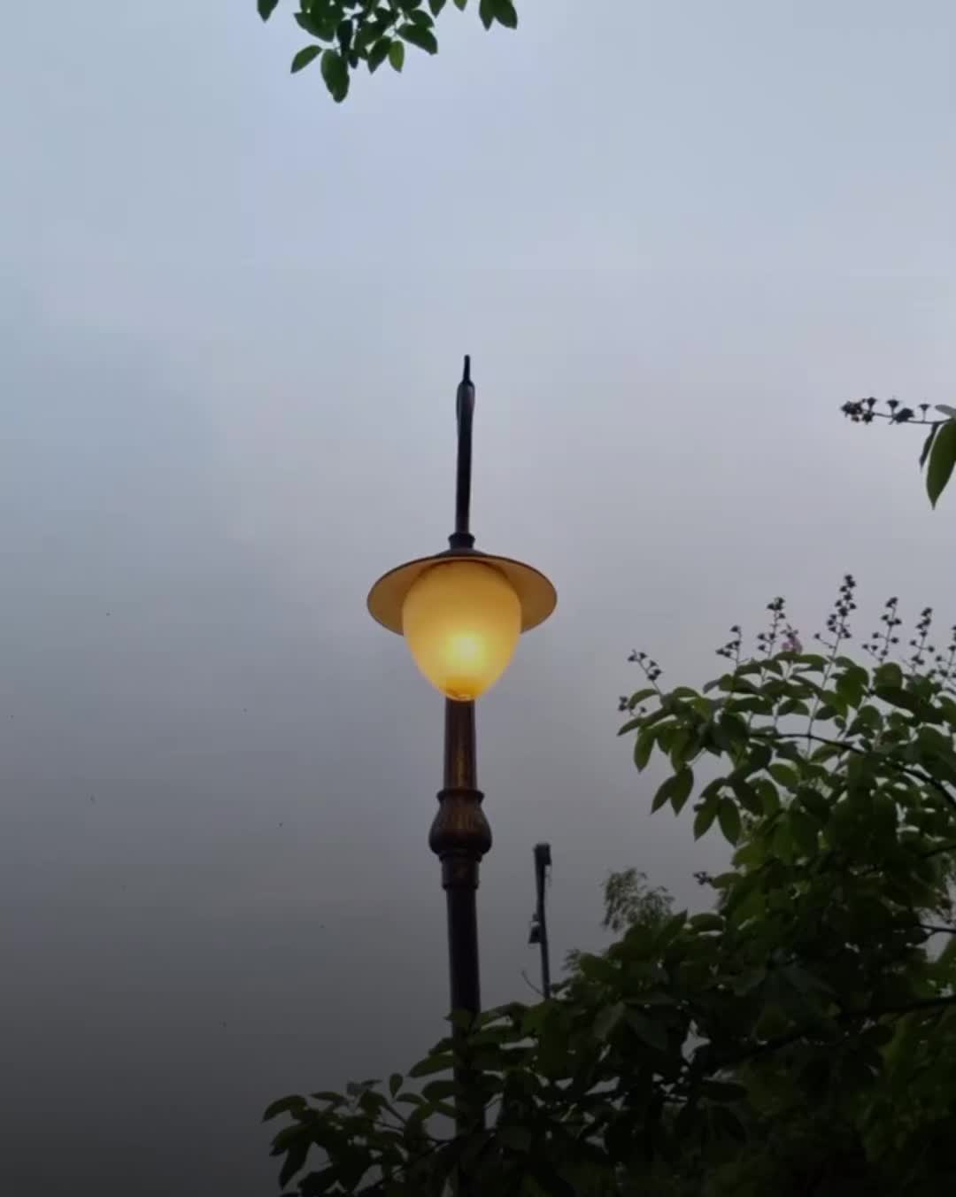 @𝗡𝗶𝗺𝗿𝗮 𝗔𝗲𝘀𝘁𝗵𝗲𝘁𝗶𝗰