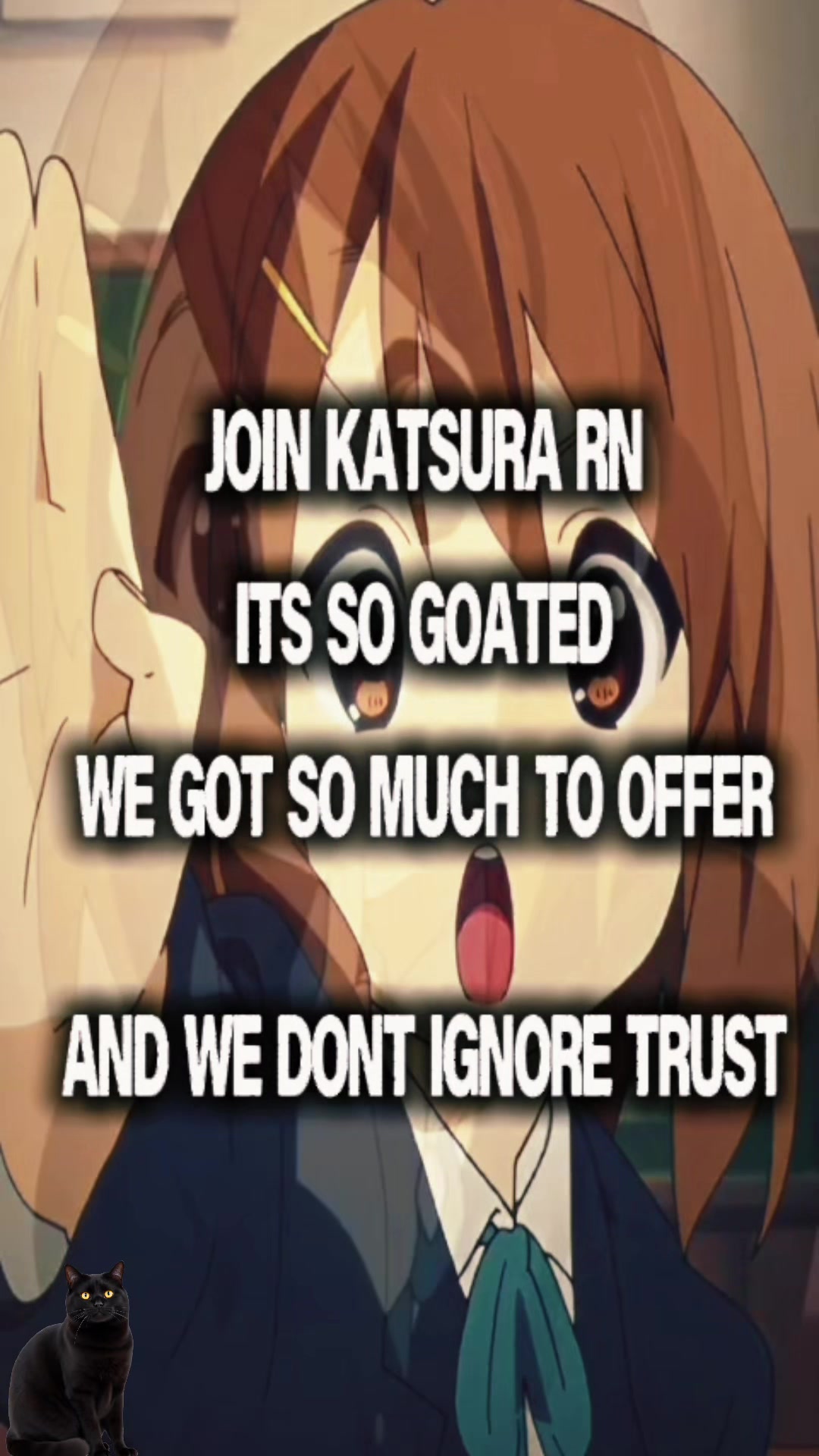 @katsuraotsu