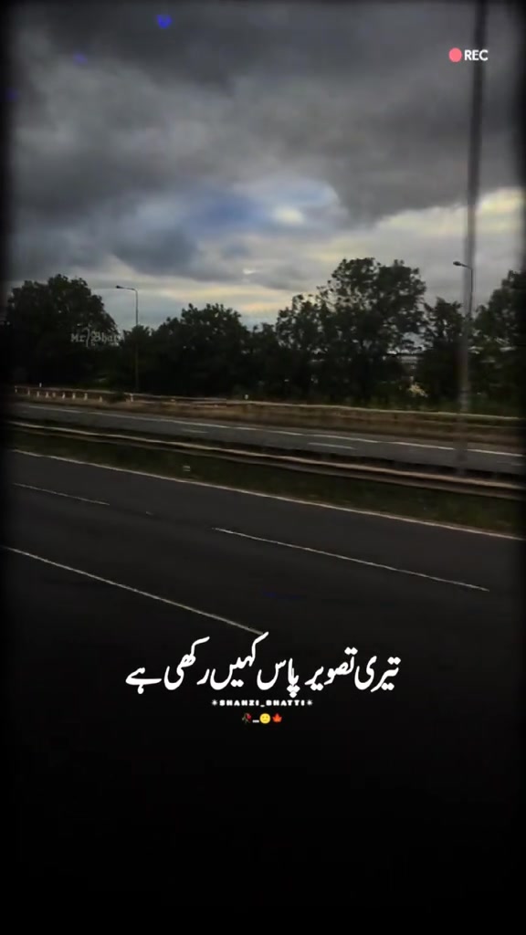 @Pagli ❤️پگلی ❤️&zwj;🩹