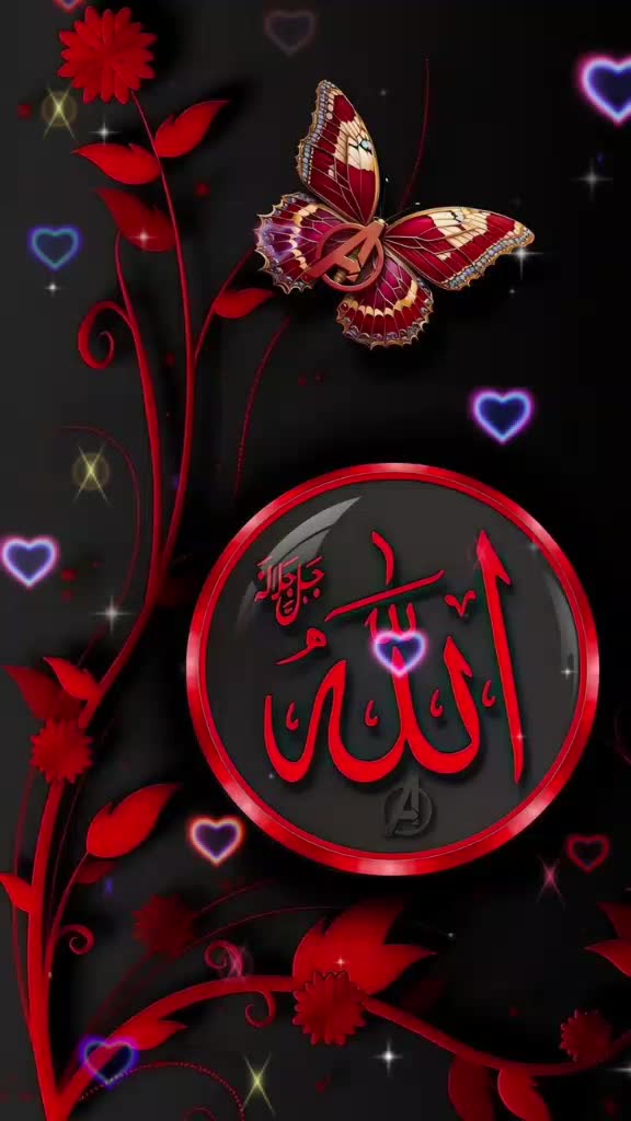 @Abida