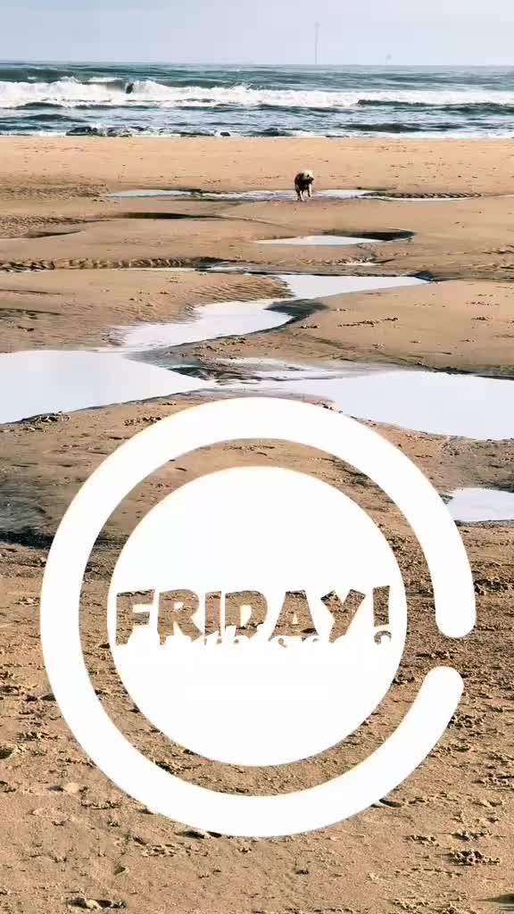 @Rich