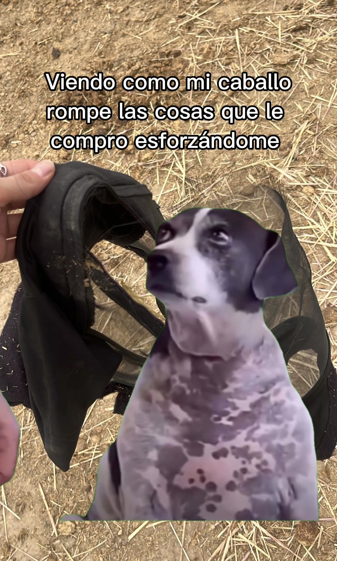 @𝓑𝓪𝓵𝓽𝓲𝓶𝓸𝓻𝓮 🤎