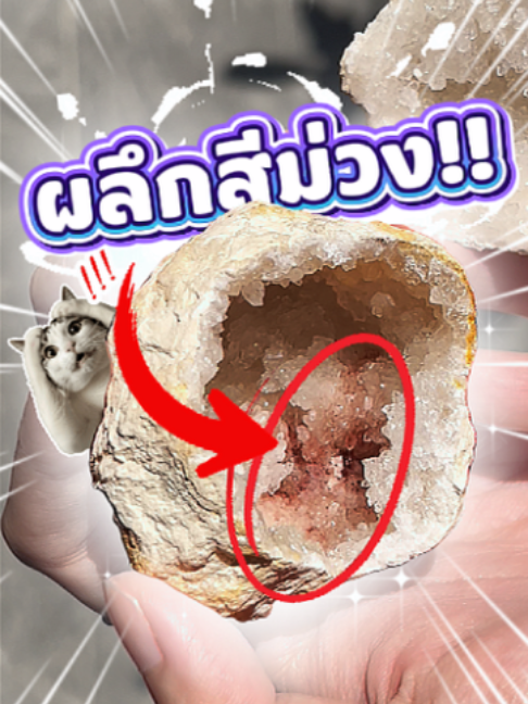 @Abo.Plus