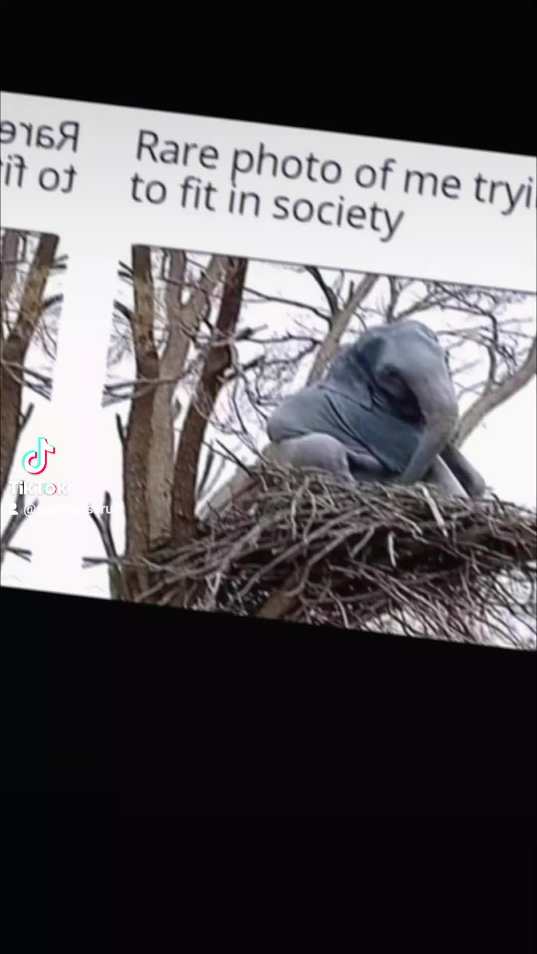@Spiritualscruff