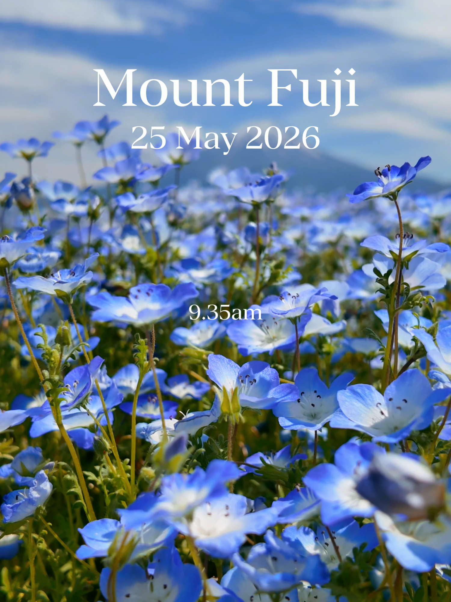 @Yamada | 1-Day Trip To Fuji