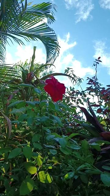 @Jah MylaH