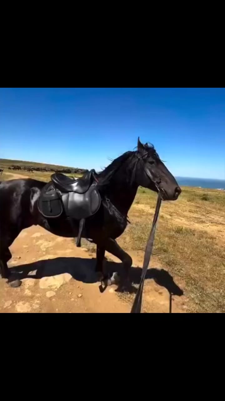 @ganader&iacute;a🐮 y caballo🐴☠️