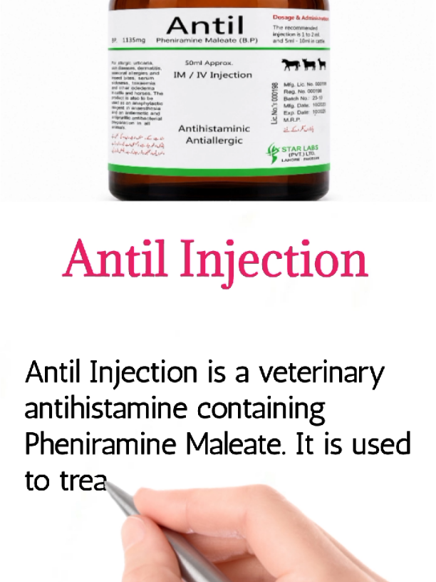 @DR.AK.VET