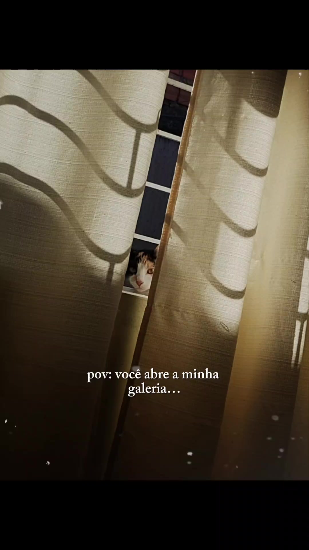 @Gisele Lisboa