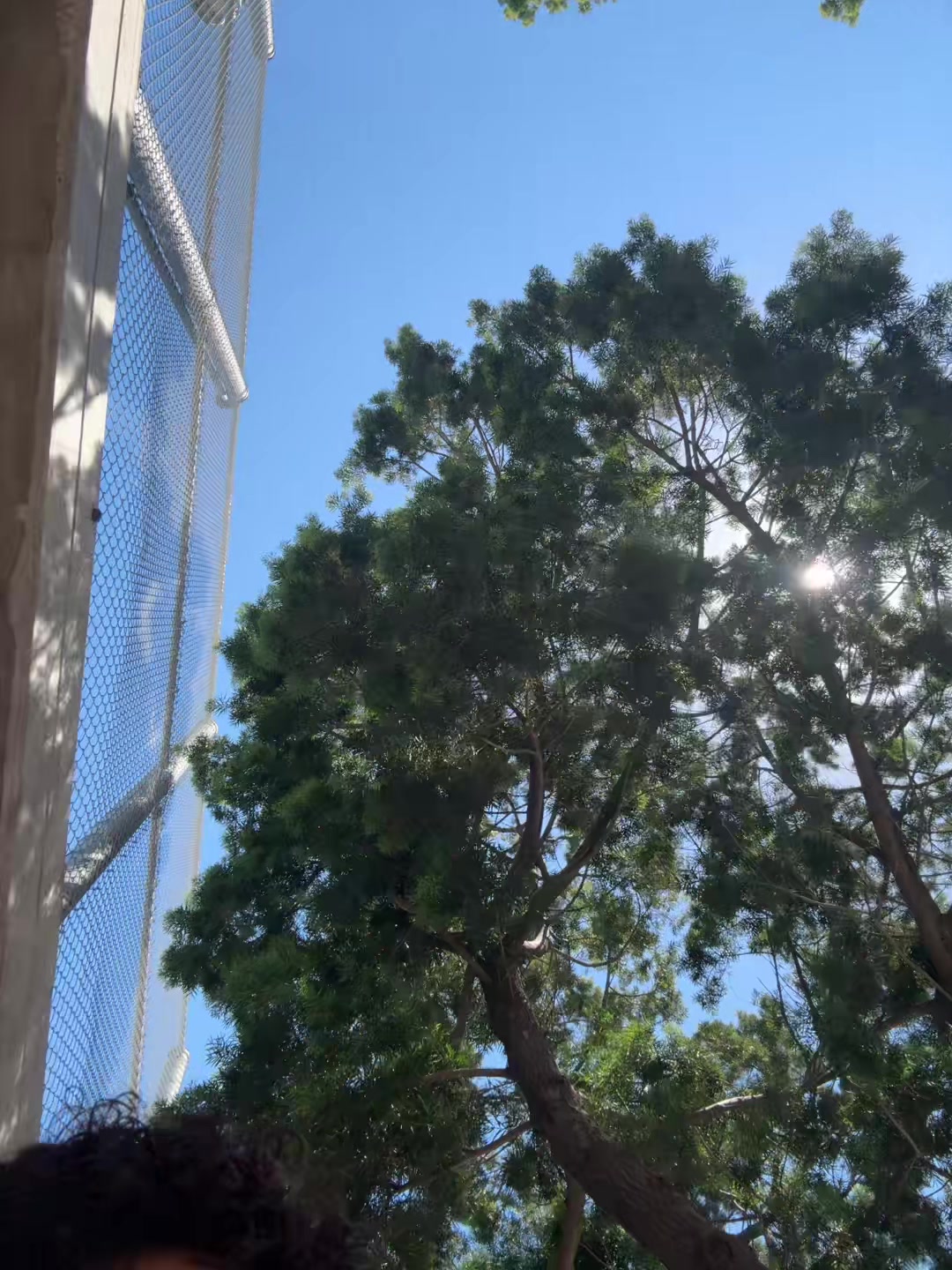 @CALIHATEJAY