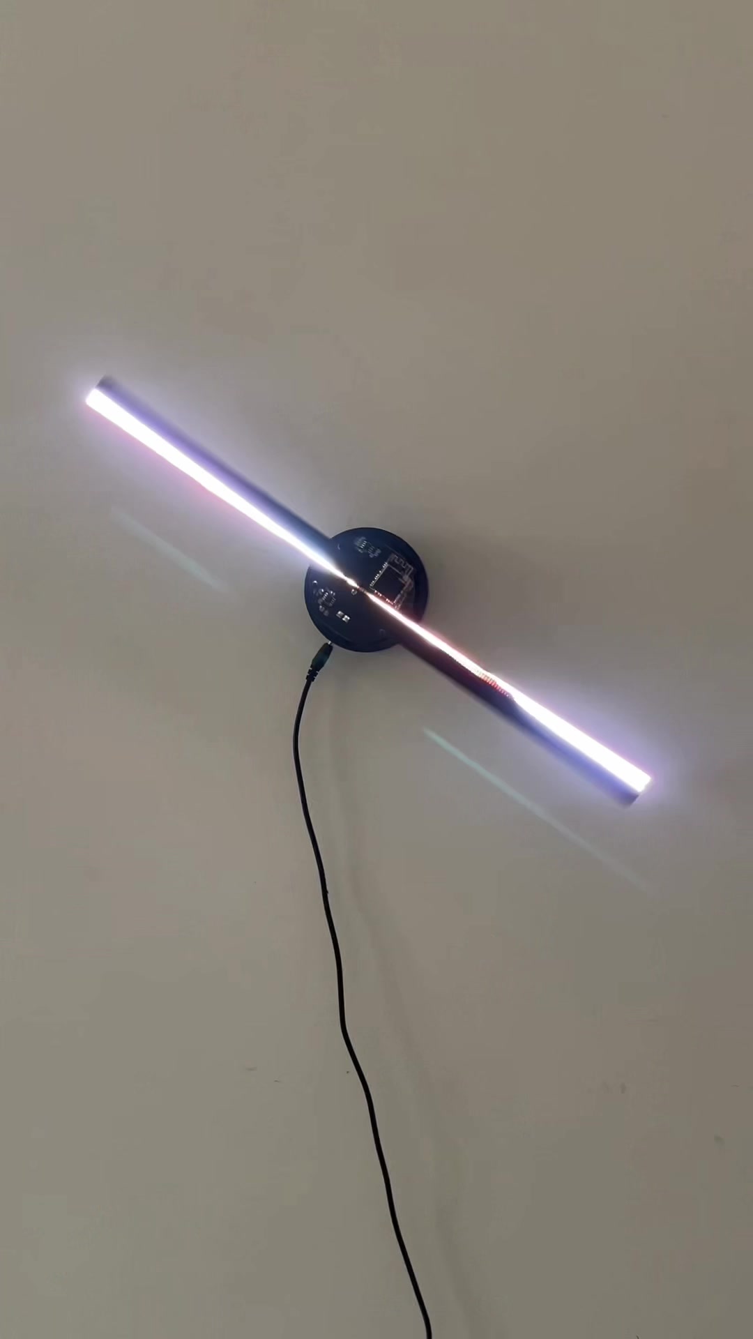 @Petite Lights