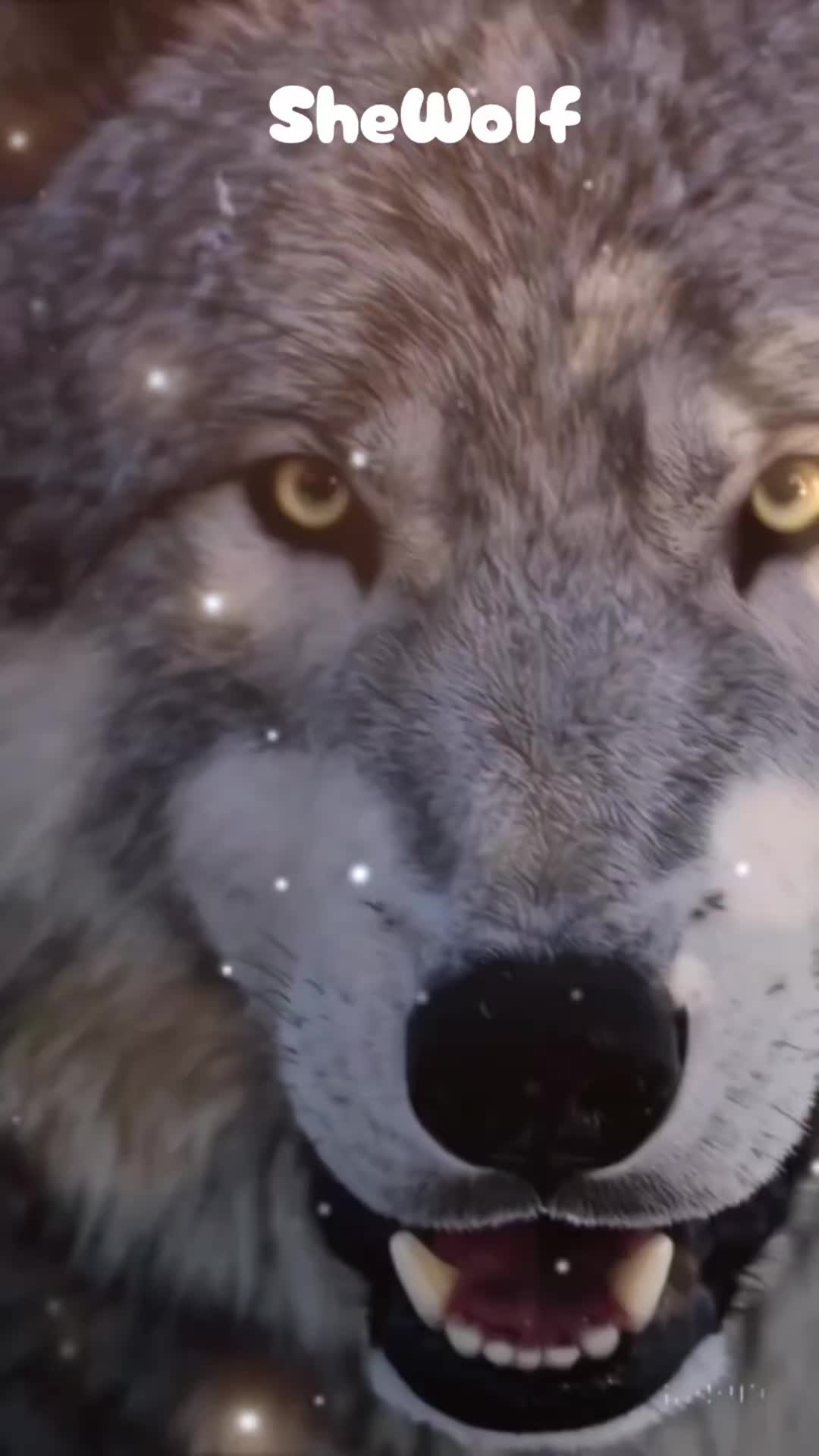@She Wolf