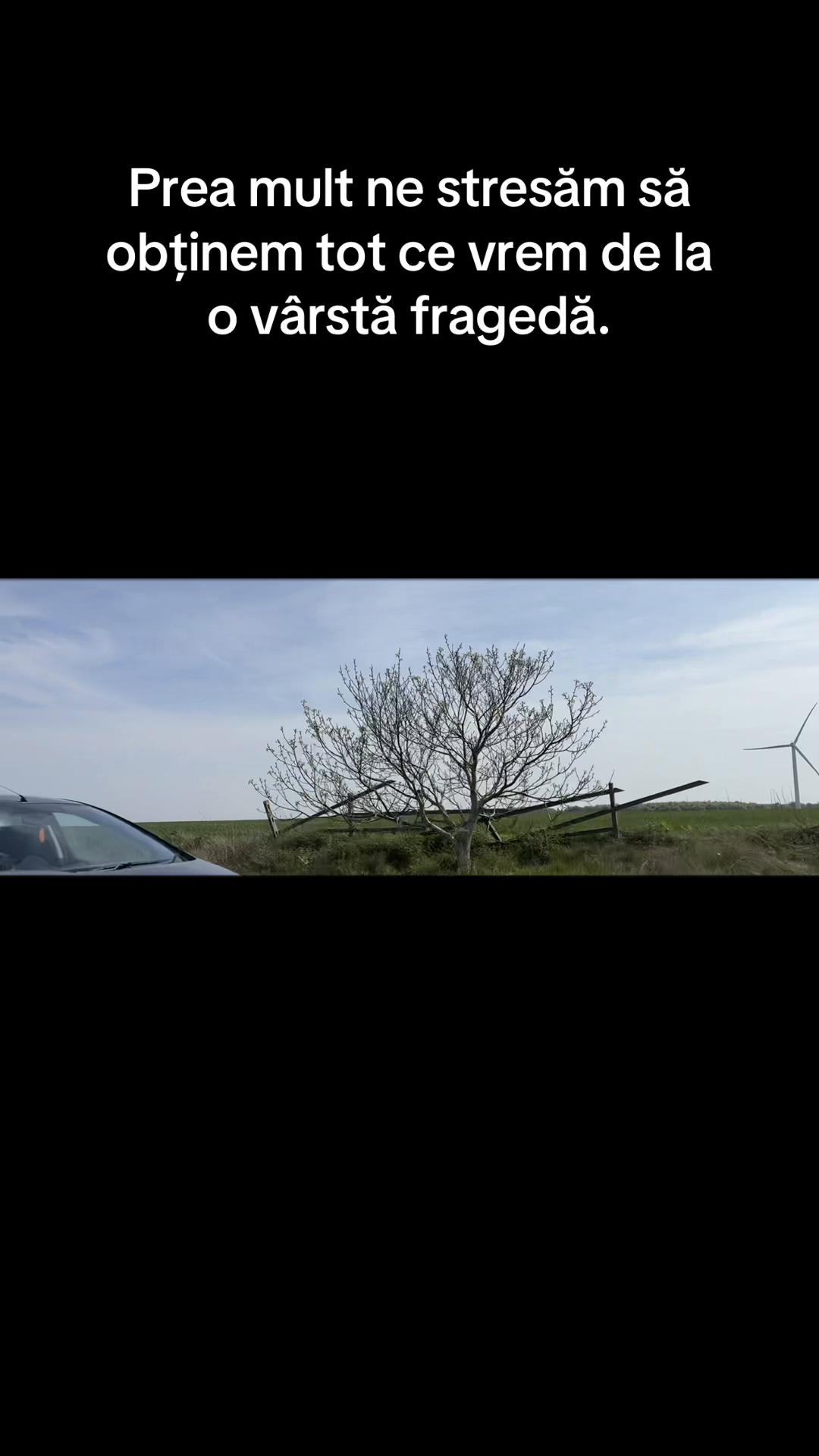 @Ilie Constantin