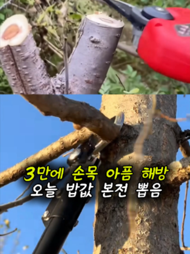 @부러쇼핑