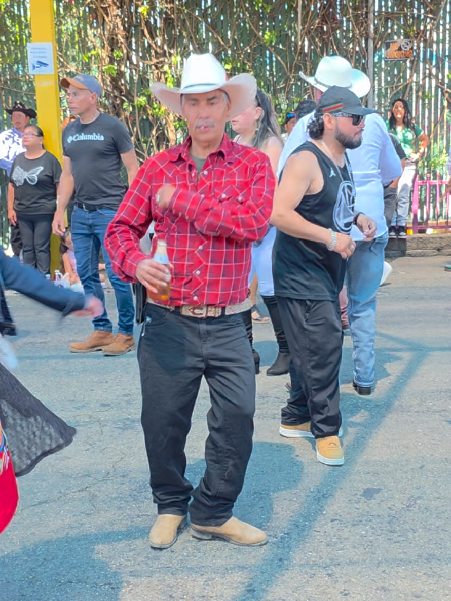 @eltigresabanero