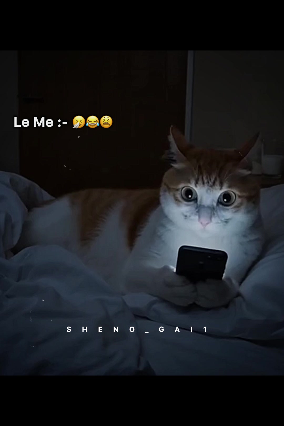 @✮⃝🇸𝙝𝙚𝙣𝙤🇬 𝙖𝙞࿐.